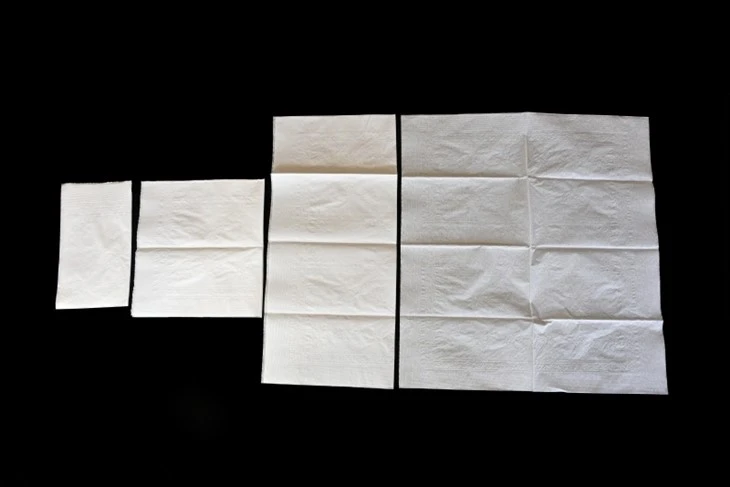 1/8 Fold Dinner Napkin high quality