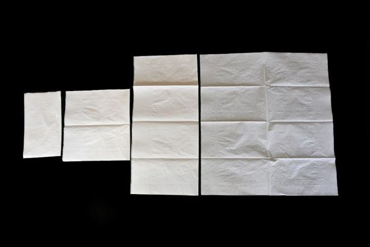 1/8 Fold Dinner Napkin price